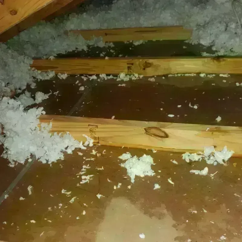 Attic Water Damage in Grinnell, IA