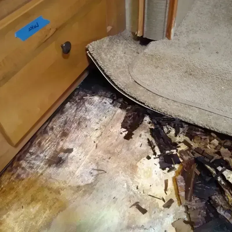 Wood Floor Water Damage in Grinnell, IA